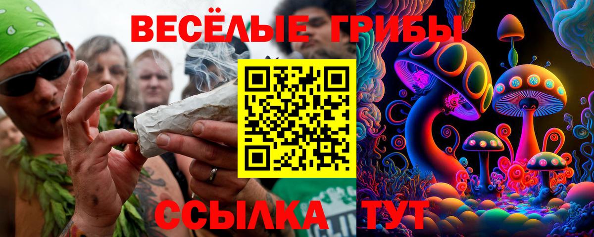 Псилоцибиновые грибы мицелий  Вход с VPN  Старая Русса 