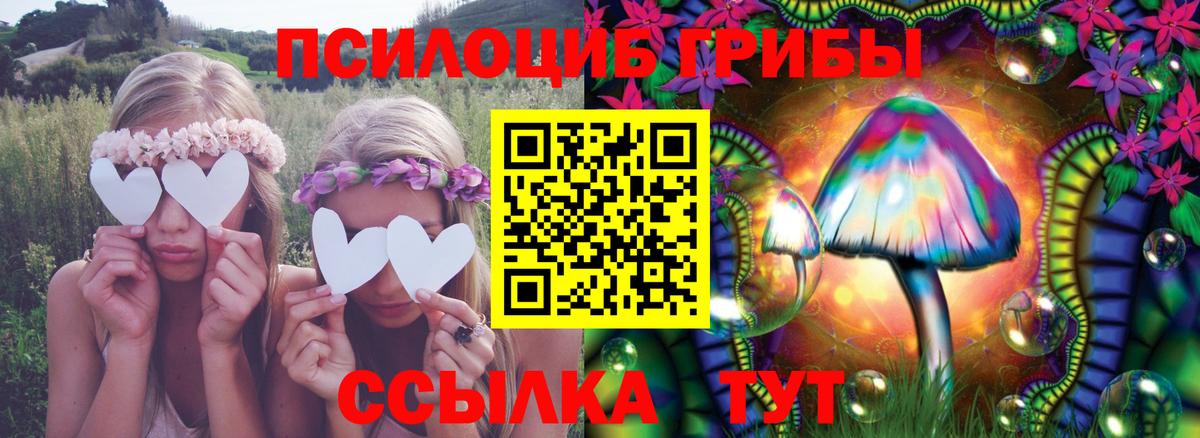 Псилоцибиновые грибы GOLDEN TEACHER Старая Русса