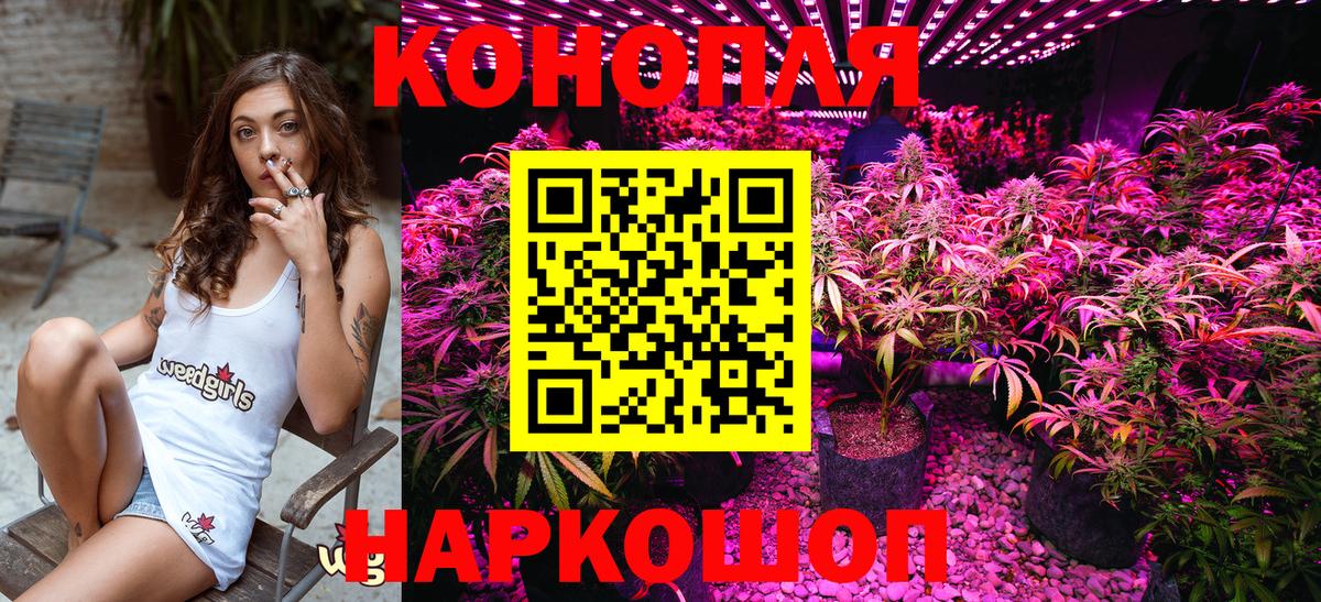 Конопля Ganja Старая Русса